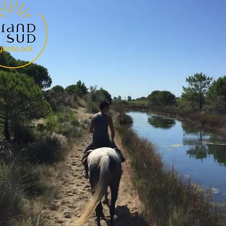 Le Gabian Le Grau-du-Roi